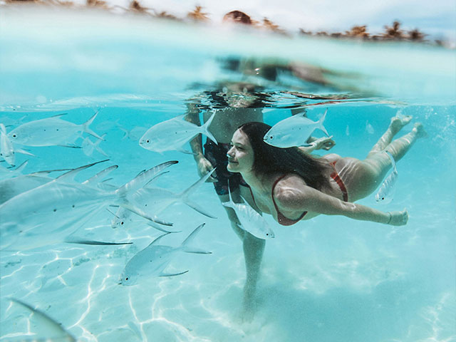 It's The Caribbean Elite - Tours Snorkel